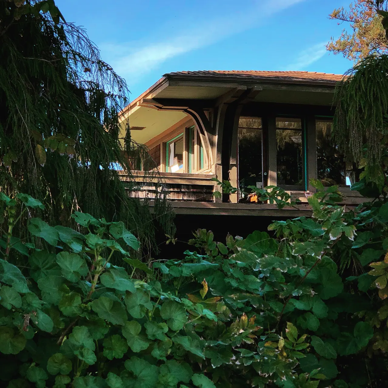 A Craftsman house framed by garden foliage.