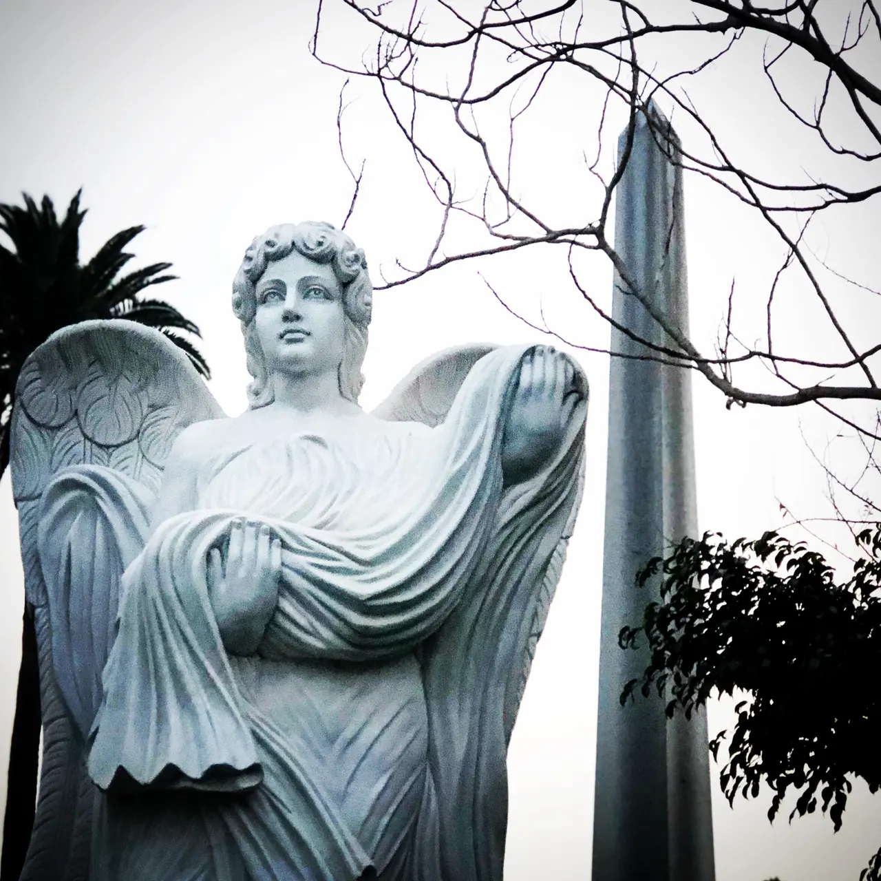 A stone angel beneath bare branches at Hollywood Forever Cemetery.