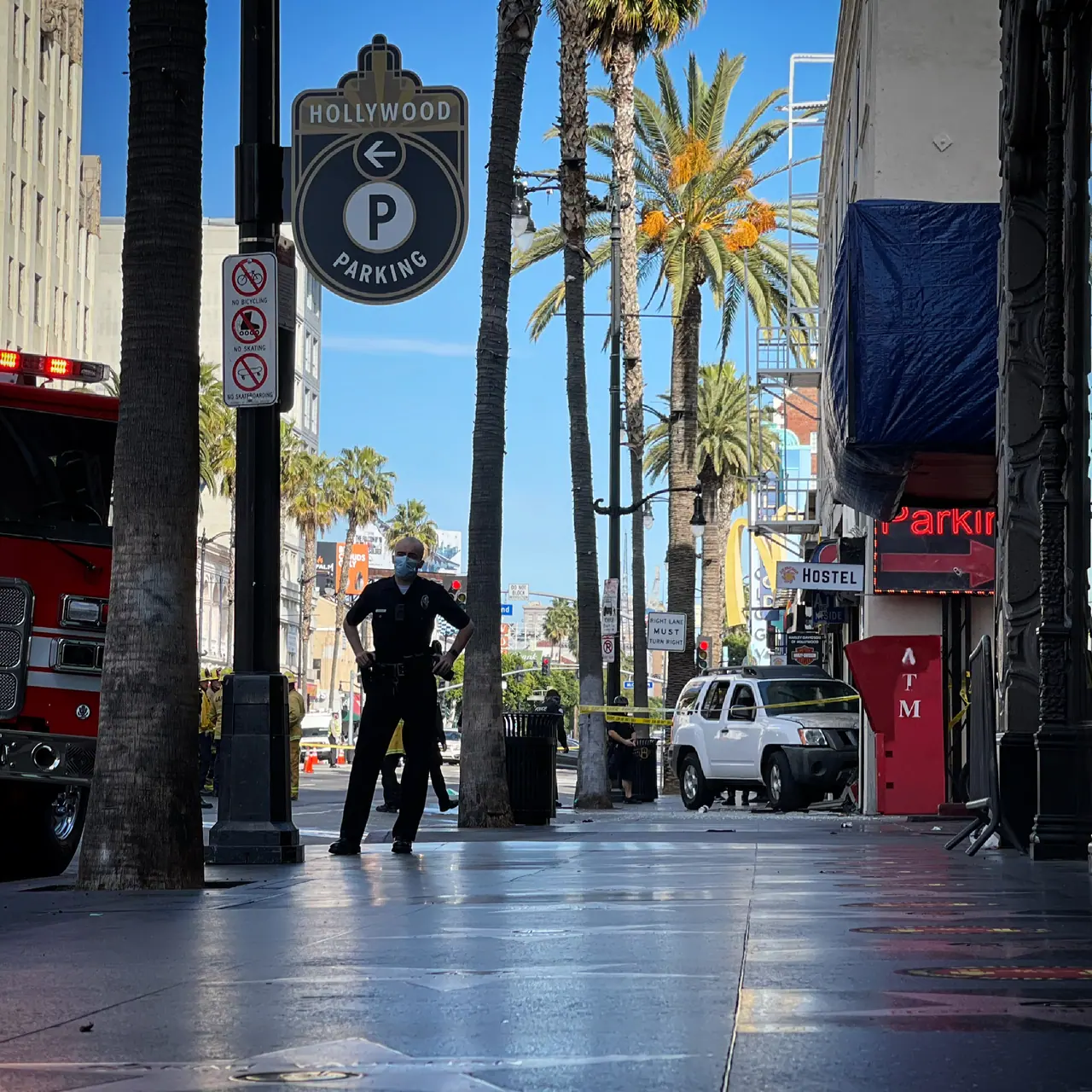 A palm-lined view along Hollywood Boulevard.
