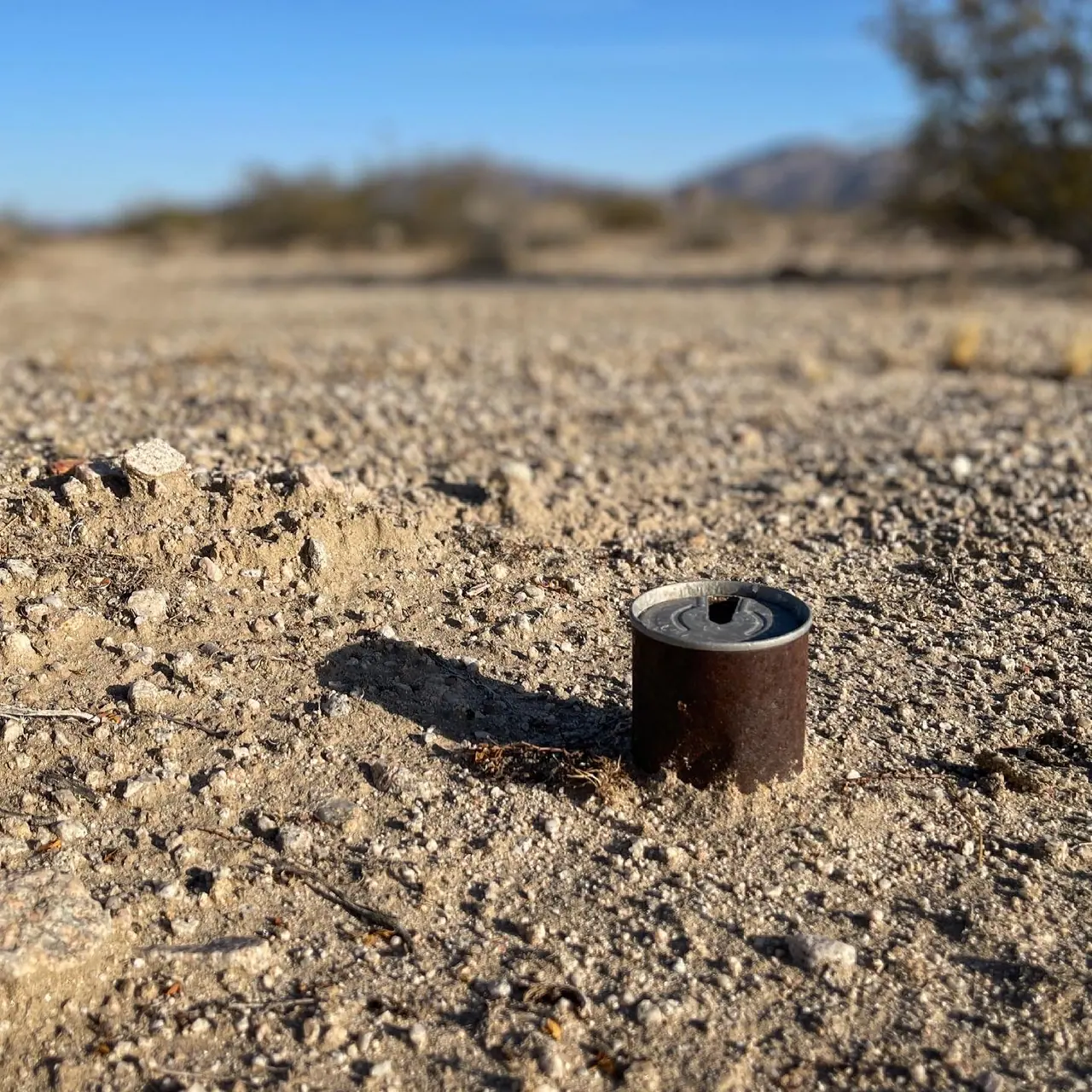 A discarded rusted can in the Joshua Tree desert.