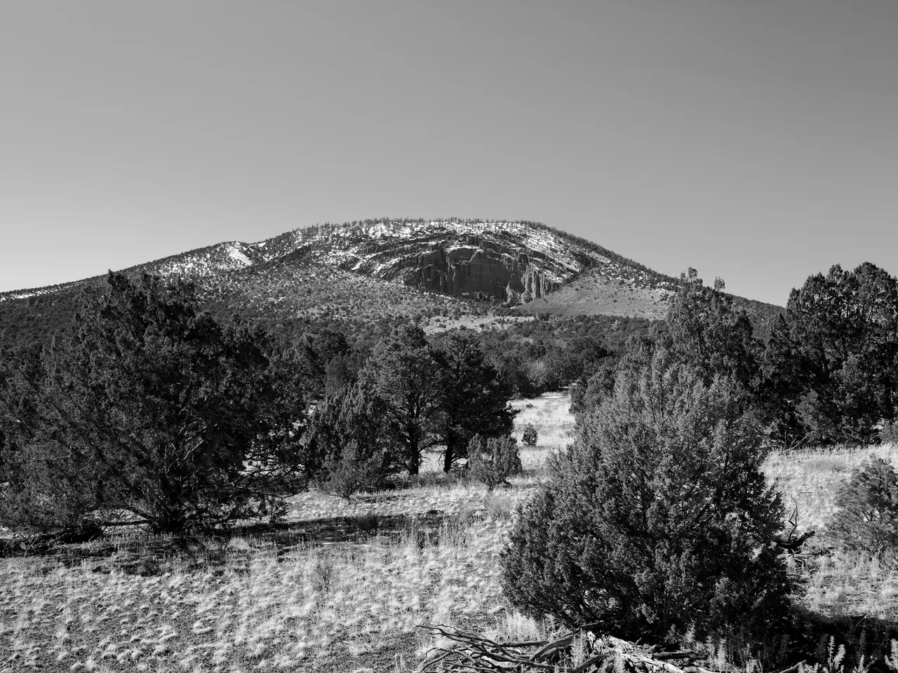 A snow-dusted mountain rising above scattered evergreen trees.