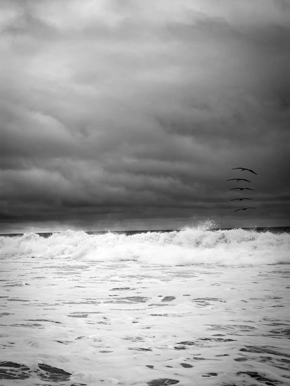 Seabirds above rough surf beneath a dark coastal sky.