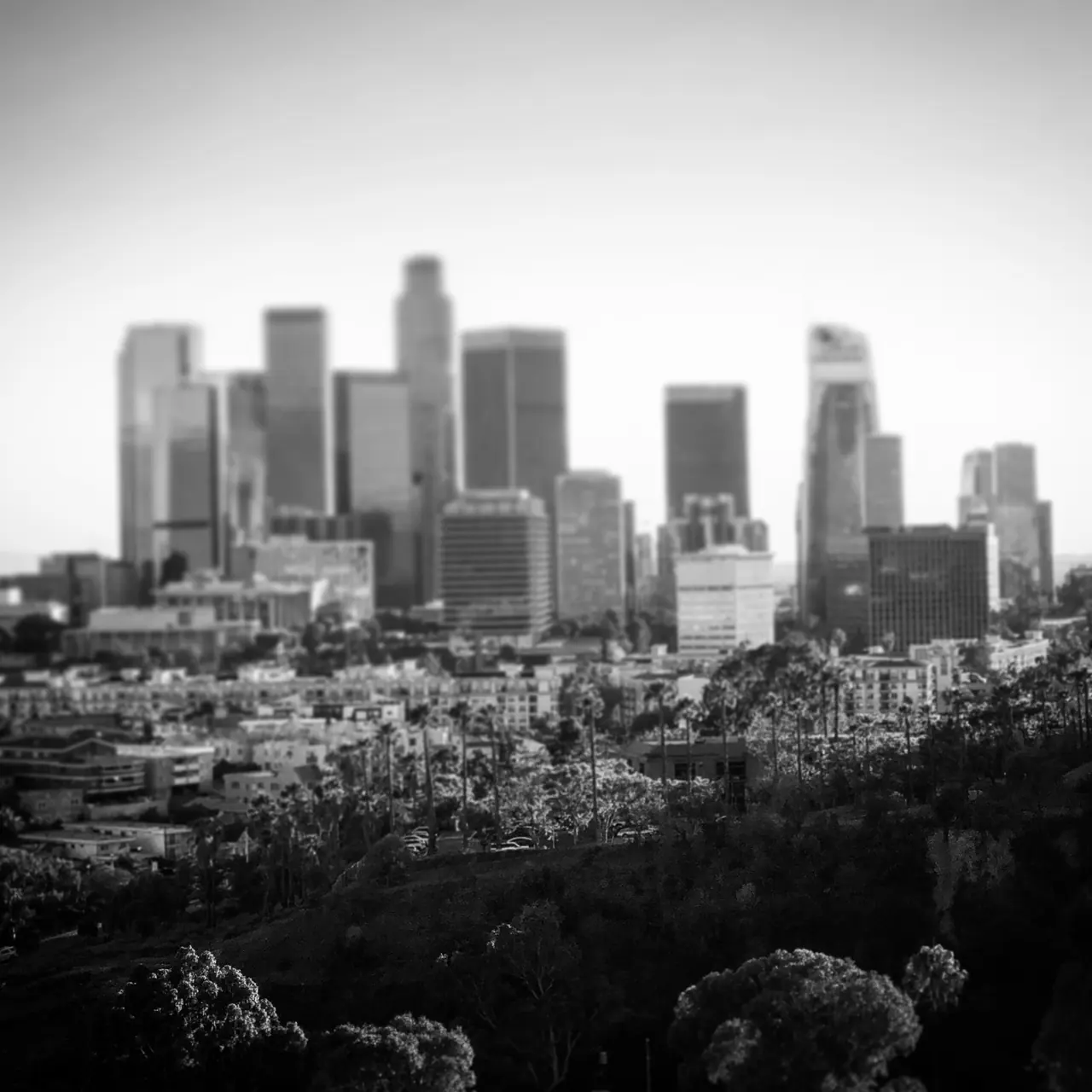 Downtown Los Angeles seen from Elysian Park, with softly blurred edges.