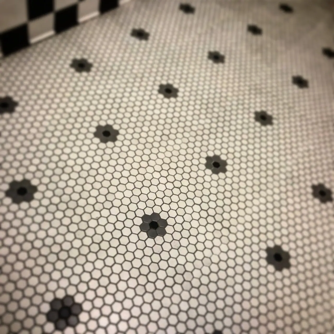 Small black flower patterns set into a white mosaic tile floor.