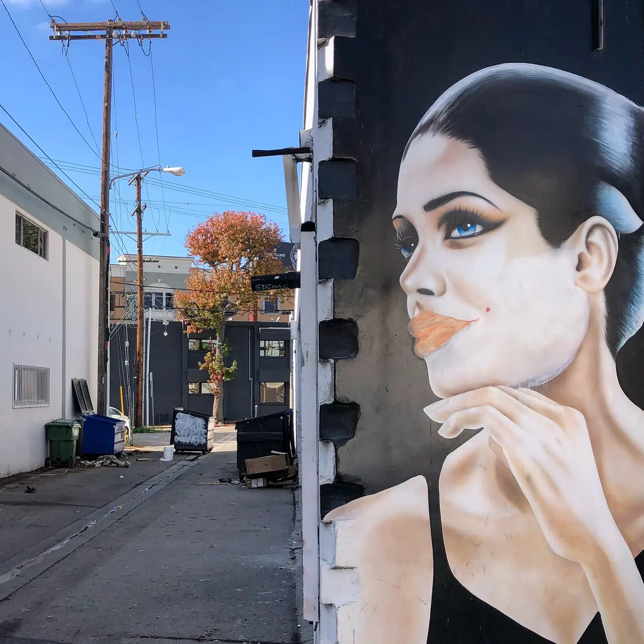 A dance studio mural at the edge of an alley.