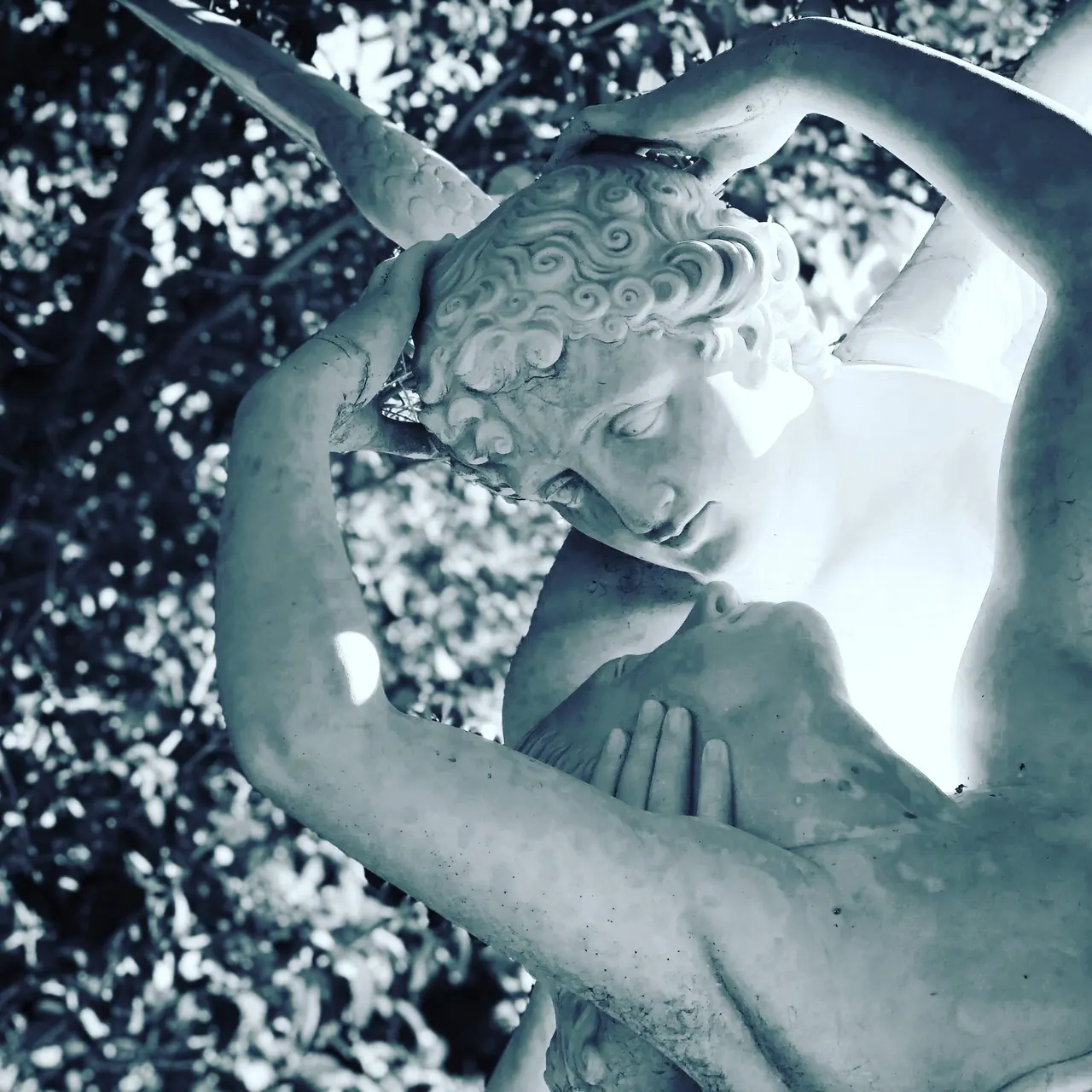 A winged cherub sculpture beneath leafy branches.