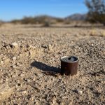 Joshua Tree