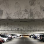 IMG_8391